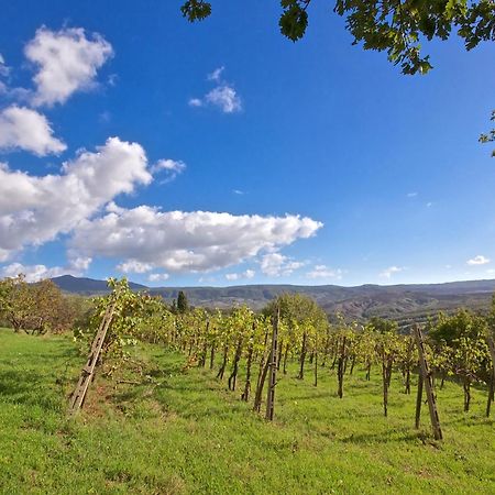Agriturismo Corvaia Radicofani Eksteriør billede
