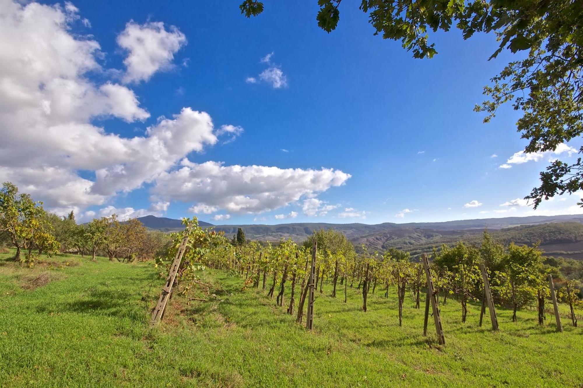 Agriturismo Corvaia Radicofani Eksteriør billede
