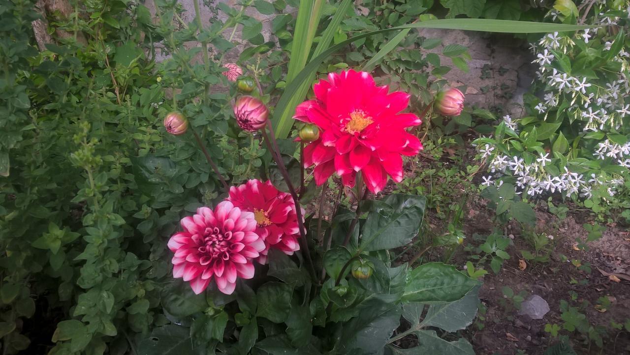 Agriturismo Corvaia Radicofani Eksteriør billede
