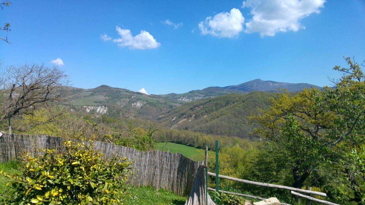 Agriturismo Corvaia Radicofani Eksteriør billede